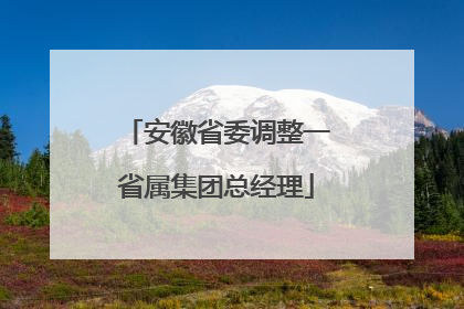 安徽省委调整一省属集团总经理