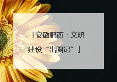 安徽肥西：文明建设“出圈记”