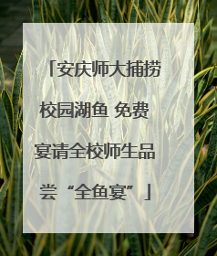 安庆师大捕捞校园湖鱼 免费宴请全校师生品尝“全鱼宴”