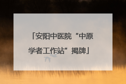 安阳中医院“中原学者工作站”揭牌