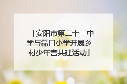 安阳市第二十一中学与磊口小学开展乡村少年宫共建活动