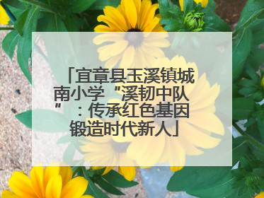 宜章县玉溪镇城南小学“溪韧中队”：传承红色基因 锻造时代新人