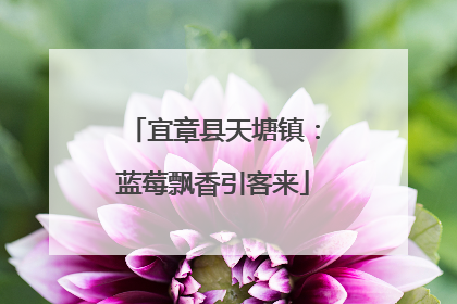 宜章县天塘镇：蓝莓飘香引客来