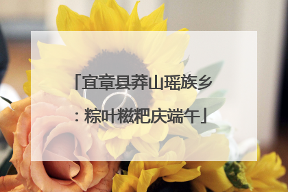 宜章县莽山瑶族乡：粽叶糍粑庆端午