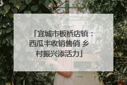 宜城市板桥店镇：西瓜丰收销售俏 乡村振兴添活力