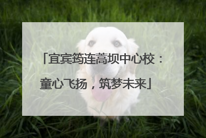 宜宾筠连蒿坝中心校：童心飞扬，筑梦未来