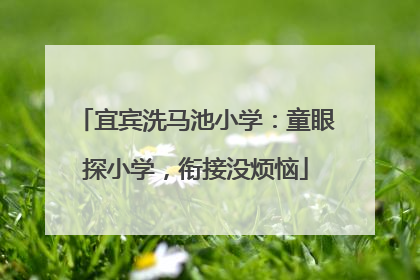 宜宾洗马池小学：童眼探小学，衔接没烦恼