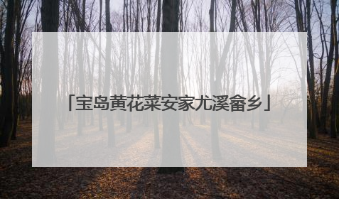 宝岛黄花菜安家尤溪畲乡