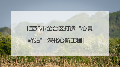 宝鸡市金台区打造“心灵驿站” 深化心防工程