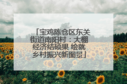 宝鸡陈仓区东关街道南阳村：大棚经济结硕果 绘就乡村振兴新图景