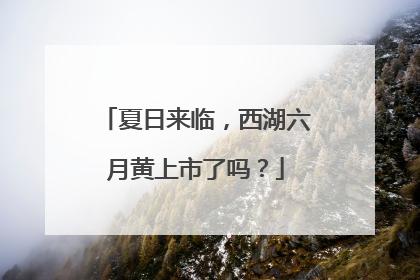 夏日来临，西湖六月黄上市了吗？