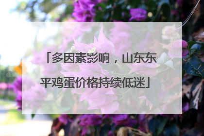 多因素影响，山东东平鸡蛋价格持续低迷