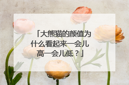 大熊猫的颜值为什么看起来一会儿高一会儿低？