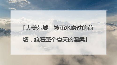 大美东城｜被雨水吻过的荷塘，藏着整个夏天的温柔