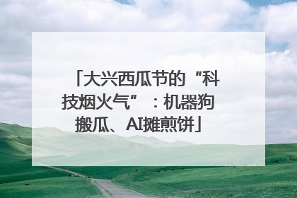 大兴西瓜节的“科技烟火气”：机器狗搬瓜、AI摊煎饼