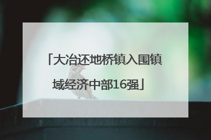 大冶还地桥镇入围镇域经济中部16强