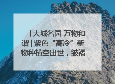 大城名园 万物和谐│紫色“高冷”新物种横空出世，皱褶叶片暗藏进化密码