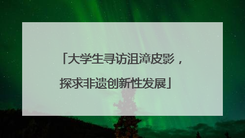 大学生寻访沮漳皮影，探求非遗创新性发展