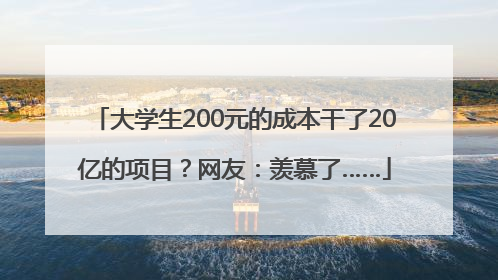 大学生200元的成本干了20亿的项目？网友：羡慕了……