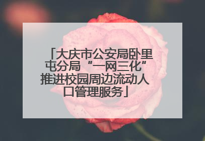 大庆市公安局卧里屯分局“一网三化”推进校园周边流动人口管理服务