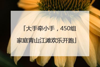 大手牵小手，450组家庭青山江滩欢乐开跑
