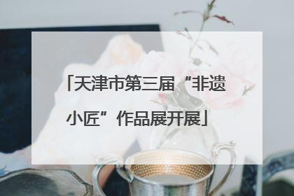 天津市第三届“非遗小匠”作品展开展