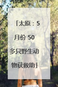 太原：5月份 50多只野生动物获救助