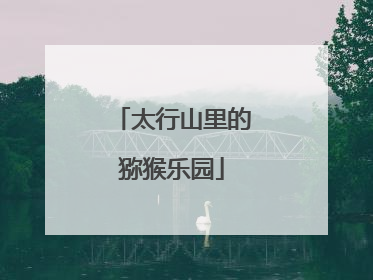 太行山里的猕猴乐园