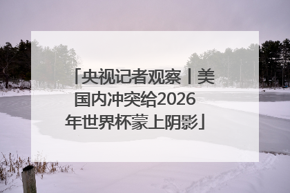 央视记者观察丨美国内冲突给2026年世界杯蒙上阴影