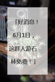 好消息！6月1日，这群人游石林免费！