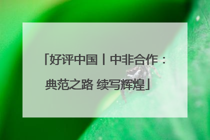 好评中国丨中非合作：典范之路 续写辉煌