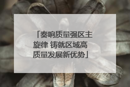 奏响质量强区主旋律 铸就区域高质量发展新优势