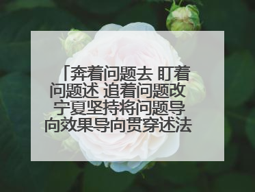 奔着问题去 盯着问题述 追着问题改 宁夏坚持将问题导向效果导向贯穿述法工作始终