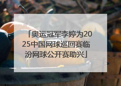 奥运冠军李婷为2025中国网球巡回赛临汾网球公开赛助兴