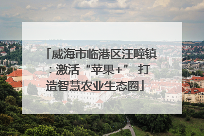 威海市临港区汪疃镇：激活“苹果+” 打造智慧农业生态圈