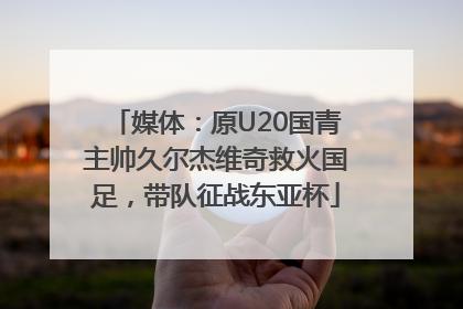 媒体：原U20国青主帅久尔杰维奇救火国足，带队征战东亚杯