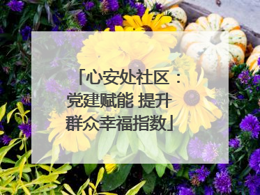 心安处社区：党建赋能 提升群众幸福指数