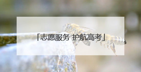 志愿服务 护航高考