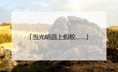 当光明遇上蚂蚁……