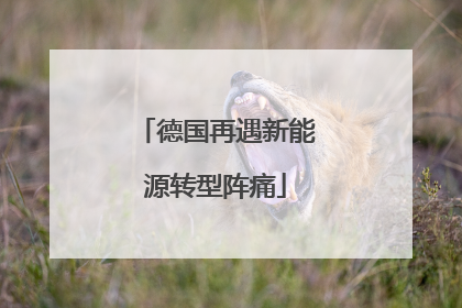 德国再遇新能源转型阵痛