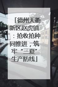 德州天衢新区赵虎镇：抢收抢种同推进，筑牢“三夏”生产防线