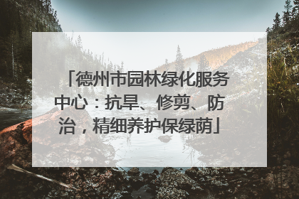 德州市园林绿化服务中心：抗旱、修剪、防治，精细养护保绿荫