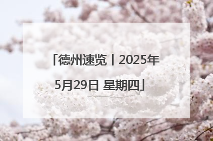 德州速览丨2025年5月29日 星期四