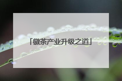 徽茶产业升级之道
