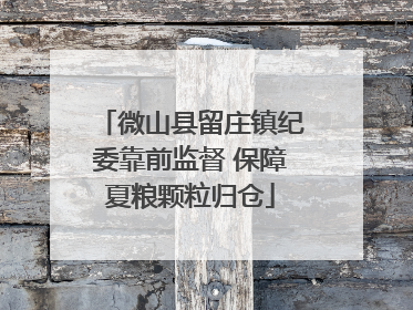 微山县留庄镇纪委靠前监督 保障夏粮颗粒归仓