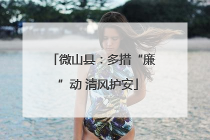 微山县：多措“廉”动 清风护安