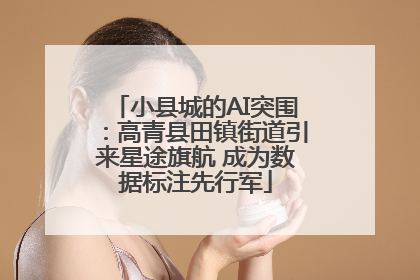 小县城的AI突围：高青县田镇街道引来星途旗航 成为数据标注先行军