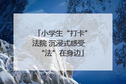 小学生“打卡”法院 沉浸式感受“法”在身边