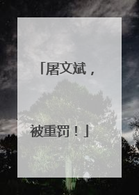 屠文斌，被重罚！