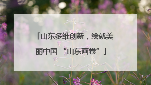 山东多维创新，绘就美丽中国 “山东画卷”